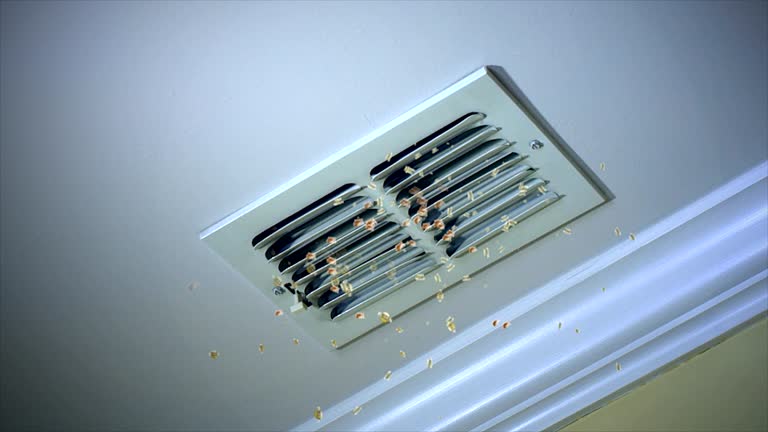 Best Home Air Vent Cleaning  in San Fernando, CA